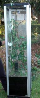 Großes Terrarium incl. Licht und Deko 1 80m x 0 5m x 0 5m