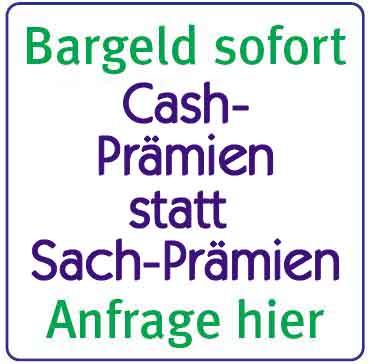 Sie brauchen vor Weihnachten noch einen Kredit und ein kostenloses Handy