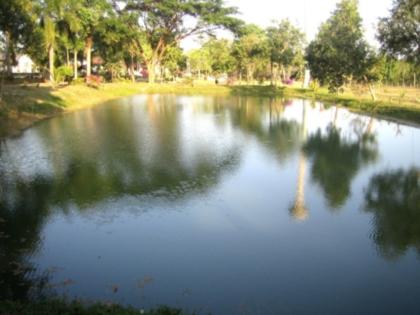 In Naturparadies Ferienresort im Norden Thailands Erholung Ruhe und Genuss