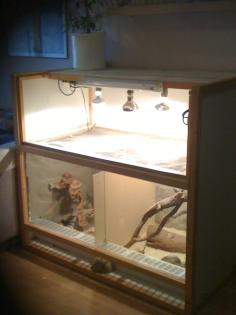 Terrarium für Wüstenreptilien