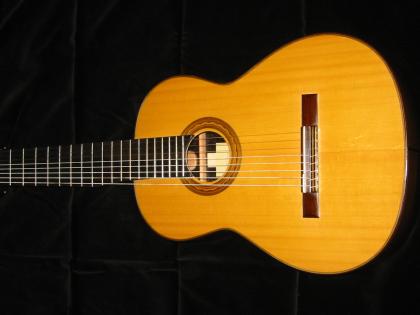8-saitige Gitarre
