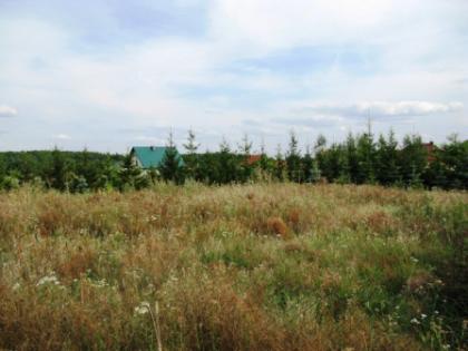 Baugrundstück in Oslonin in Polen