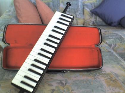 Verkaufe Hohner Melodica Piano 3C VB 100 - EUR