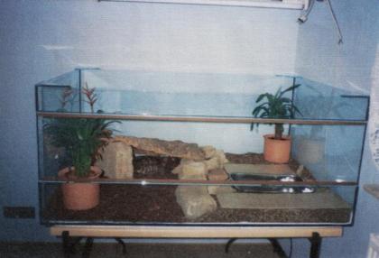 Verkaufe riesiges Terrarium mit Komplett-Zubehör