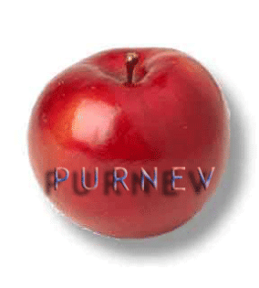 PR Marketing Consulting Corporate Culture and Image D CH A