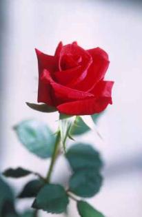 M22 aus 21244 sucht