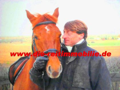 FACHMAKLER REITMMOBILEN-REITANLAGEN MIT EIGENEM FREIBERGER PFERD