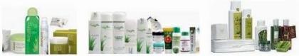 Original kanarische Aloe Vera