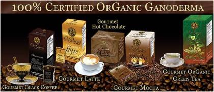 Neustrat in Europa Organo Gold Kaffee der Wellnesskaffee Wir suchen noch Part