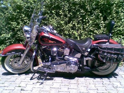 Harley Davidson FLSTC wie neu