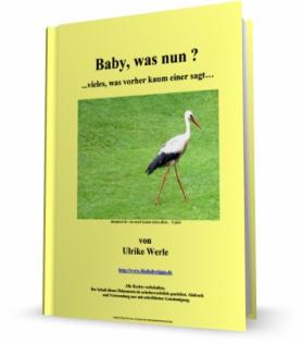 Alternativer Ratgeber rund ums Baby Tipps zu Eisenmangel Babyschlaf und andere