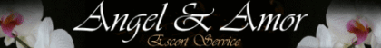 Escortservice sucht attraktive Escortladies