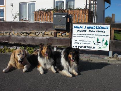 Sonjas- Hundeschule Jetzt auch mit Welpenspielgruppe und Agilitytraining