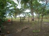 Schönes Grundstück direkt am Strand Guanacaste Costa Rica