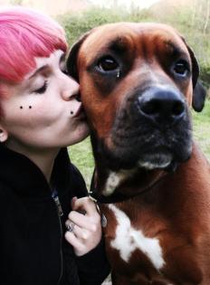 Ich maja 3 jahre suche ein neues zuhause