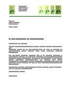 Bewerbungsvorlagen
