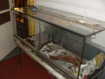 Terrarium Dringend abzugeben 1 50X0 60X0 60 inkl Div Zub