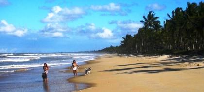 Verpachte Farm in Bahia / BRASILIEN - Euro 200 / Monat