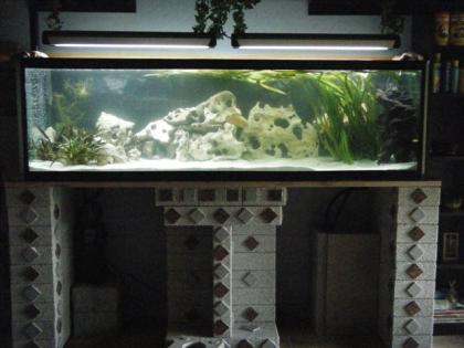TOP ANGEBOT KOMPLETT AQUARIUM