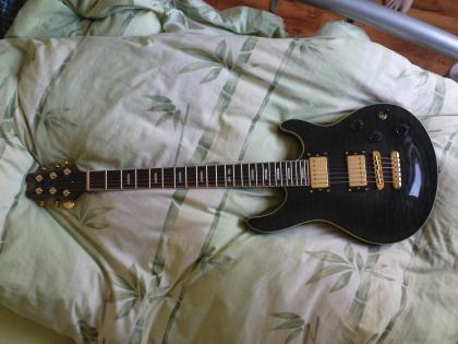 Peavey exp signatur serie E-Gitarre PRS Style