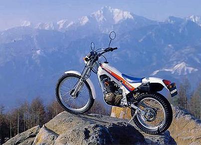 1982 Honda TLR250