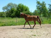 1 85 Wallach such liebe RB