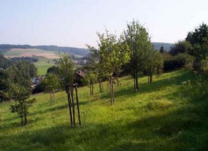 Ein TRAUM zum Wohnen OASE im Grünen - Leben in der NATUR