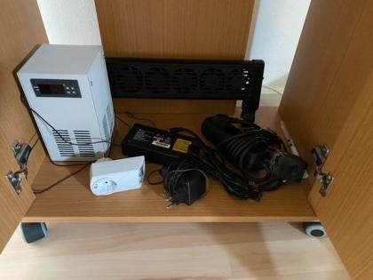 2 Axolotl inkl Aquarium und komplettem Setup zu verschenken