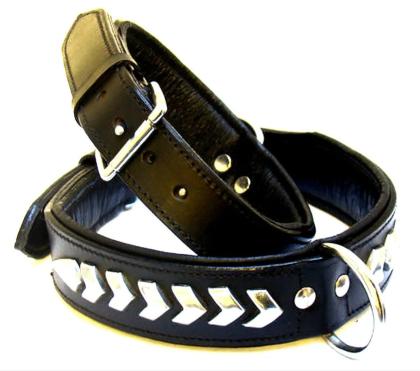 Hundehalsband Leder schwarz mit Nieten schönes Hunde Halsband in Größe S M