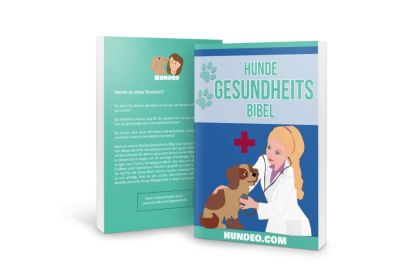BUCH Die Hunde-Gesundheits Bibel