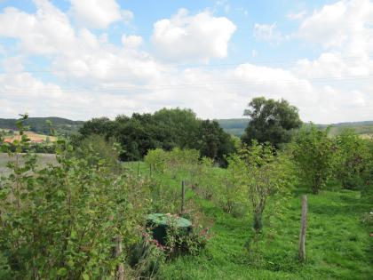 Streuobstwiese in Marburg Haddamshausen