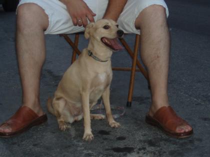TINA hat ihr sicheres zuhause verloren
