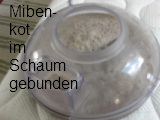 Matratzenreinigung zur Milbenbekämpfung Traum vs. Alptraum