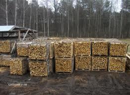 Kaminholz Buche Eiche Fichte von Restfeuchte 18 Kamer getrocknet
