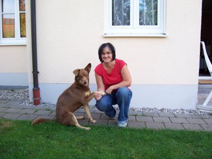 Hundeschule Harmony - Der Weg ist das Ziel