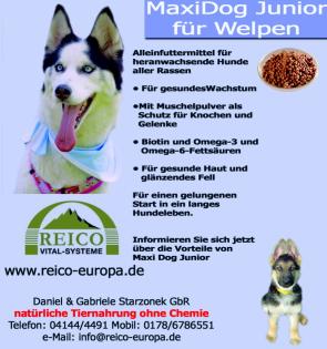 Gesundheit hat Zukunft Jetzt neu Reico-Schnupperpaket für alle Hunde und Katze