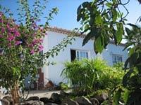 Casa Stella in Los Llanos auf La Palma