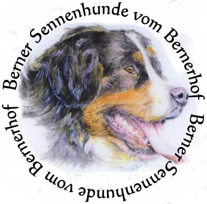 Sie suchen einen süßen Berner Sennen Welpen