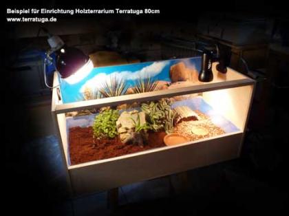Schildkroetenshop Terratuga Komplett Zubehör für Schildkröten