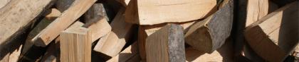 Ihr Partner in Sachen Holz