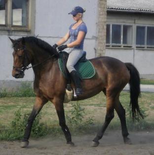 Suche RB Werder Havel / Phöben