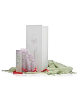 ARTISTRY essentials Geschenkbox mit GRATIS Pashmina-Schal Ausgleichend