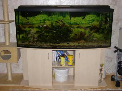 Komplett Aquarium Zubehör. TOP ZUSTAND