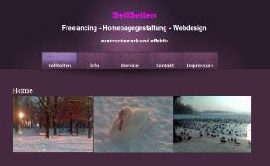 Webdesign Homepagegestaltung Freelancing