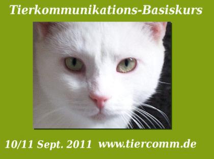 Tierkommunikation Kurs Hannover/Burgwedel 10/11 Sept. 2022