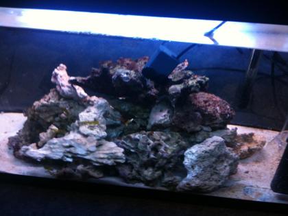 Verkaufe Meerwasser Aquarium 120l Lebendgestein .