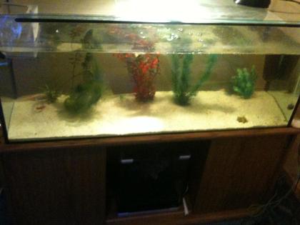 Aquarium 120x40x50 240l Unterschrank 2 AXOLOTL