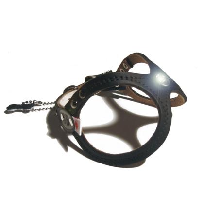Buddy Belts - die einzigartigen Hundegeschirre aus Canada