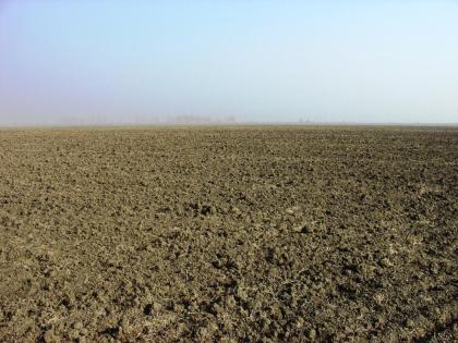 Ackerland in Westungarn zu verpachten 312 ha