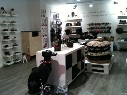 Exklusiver Hundeladen www. stilhund. de